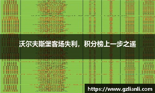 沃尔夫斯堡客场失利，积分榜上一步之遥