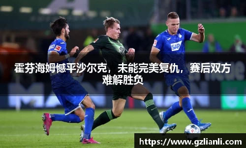 霍芬海姆憾平沙尔克，未能完美复仇，赛后双方难解胜负