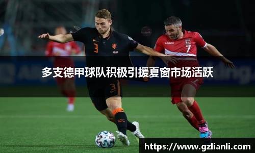 多支德甲球队积极引援夏窗市场活跃