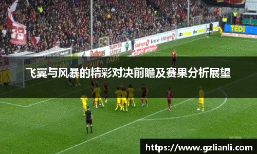 飞翼与风暴的精彩对决前瞻及赛果分析展望