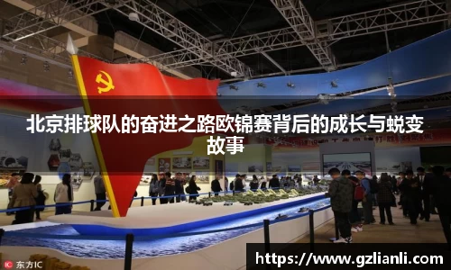 北京排球队的奋进之路欧锦赛背后的成长与蜕变故事
