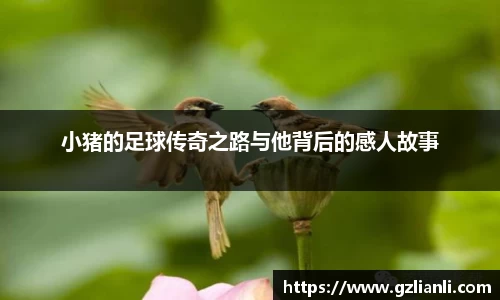 OB电竞官方网站